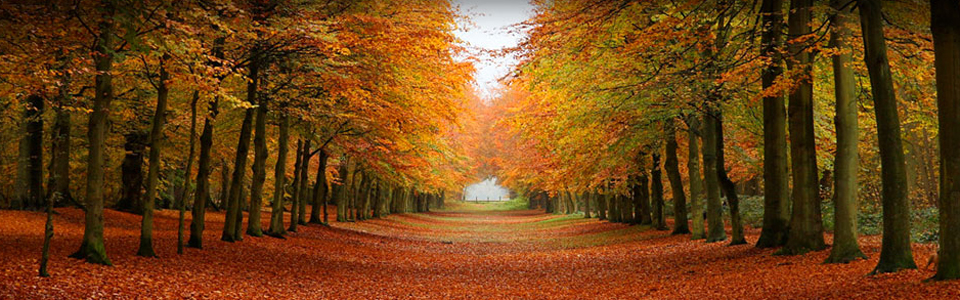 Die Praxis am Stadtwald